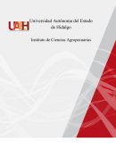 El narco en México.