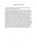 Elaboración de campaña.