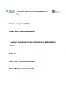 Tarea 2 “Sistemas de Información” Mapa Mental.