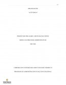 ORGANIZACIÓN “ACTIVIDAD 4”