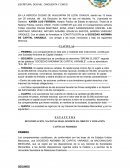 Acta constitutiva de sociedad anonima.