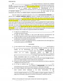 Demanda inicial ejecutivo mercantil.