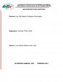 Ficha Técnica Técnicas TPM y RCM.