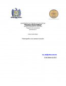 Historiografia y sus campos de accion.