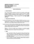 ANALISIS SENTENCIA T917 DE 2011.