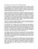 Ensayo de Carotenoides.