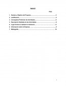 Reestructuracion del sistema contable y fiscla de una persona fisica.