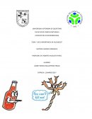 USO E IMPORTANCIA DE ALCOHOLES.