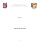 Formación de coacervados.