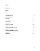 La vacuna de la influenza