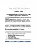 Plan de vida y carrera