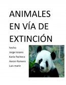 ANIMALES EN VÍA DE EXTINCIÓN son aquellos que han perdido su hábitat, han sido cazados, o han perecido en la lucha de la cadena alimenticia