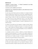 Práctica “Intimidad de personas famosas – el Tribunal Constitucional como última instancia de protección de derechos”