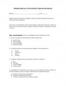 Prueba sistema digestivo DESDE EL INSTITUTO DE PREVISION SOCIAL DE LA VI REGION PROPUESTA DE UN PLAN ESTRATEGICO