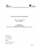 Cuantificación tradicional Método sencillo para cuantificar el número de bacterias viables en el esputo