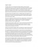 Agujeros negros ¿Quién fue el descubridor de agujero negro?