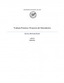 Trabajo Práctico: Proyecto de Demolición