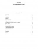 La indigencia en el sector comercial de Palermo