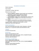 HISTOLOGIA DEL SISTEMA RESPIRATORIO