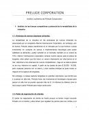 PRELUDE CORPORATION Análisis cualitativo de Prelude Corporation