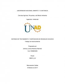 SISTEMA DE TRATAMIENTO Y DISPOSICION DE RESIDUOS SOLIDOS. Página 1