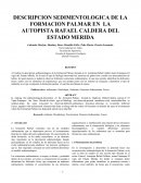 DESCRIPCION SEDIMENTOLOGICA DE LA FORMACION PALMAR EN LA AUTOPISTA RAFAEL CALDERA DEL ESTADO MERIDA