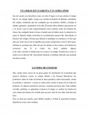 Resúmenes cortos de algunos capítulos del libro "La mala nota"