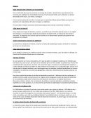 ¿Qué relación tiene la historia con la economía?