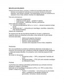 Moleculas solubles.