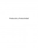 Producción y Productividad.