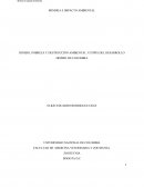 Mineria e impacto ambiental.