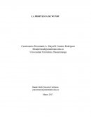 Mapa mental de roles.