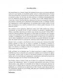 Ensayo cultura activa.