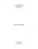 Retos de las organizaciones en el nuevo milenio ACTOS DE TERRORISMO