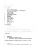 Pelado de hortalizas.