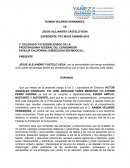 CARTA PODER PROFECO.