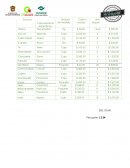 Presupuesto Características específicas.