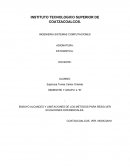 Ensayo Ecuaciones diferenciales.