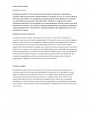 Causas determinantes (choque por alcance).