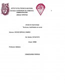 ESCUELA SUPERIROR DE COMERCIO Y ADMINISTRACIÓN.