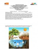 Actividades primer grado Ciencias I (biologia)