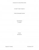 Enfermedades Laborales.