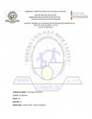 DIRECCIÓN DE EDUCACIÓN SUPERIOR ESCUELA NORMAL DE LICENCIATURA EN EDUCACIÓN PREESCOLAR