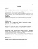 Determinar si la autorización que otorgó el gobierno es respetuosa hacia el paciente y le permite al mismo dignidad humana, autonomía, calidad de vida y libertad de elección.