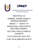 UNIVERSIDAD POPULAR AUTÓNOMA DEL ESTADO DE TLAXCALA PRÁCTICA: 03 NOMBRE: ROMINA DANIELA HERRERA MENESES