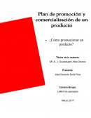 Plan de promoción y comercialización de un producto