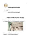 PROCESO ATENCION DE ENFERMERIA.