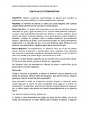 OBJETIVO: Obtener evidencias experimentales de efectos que muestran la existencia del campo eléctrico y el campo magnético por separado.