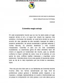 UNIVERSIDAD MILITAR NUEVA GRANADA DIEGO SEBASTIAN DIAZ ESTEBAN 5400026 Colombia magia salvaje