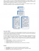 Normalmente, los términos usados en la jerga de grupos específicos son temporales (excepto las jergas profesionales), perdiéndose el uso poco tiempo después de ser adoptados.